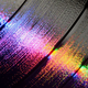 Illustration for article titled Amazon Sells the Most Vinyl Records, Not Urban Outfitters